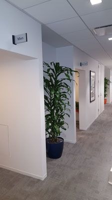 Dimensional Letters & 3D Signs in South Bay