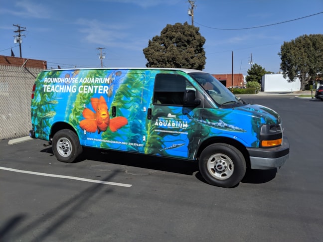 Vehicle Window Decals, Graphics & Lettering