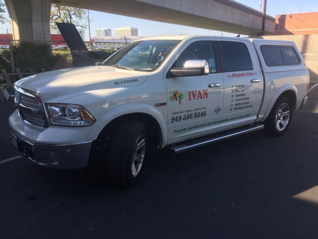 Vehicle Logo Graphics & Lettering