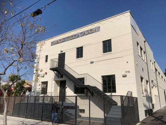 maple tree custom dimensional sign installation foam letters brushed aluminum.jpg
