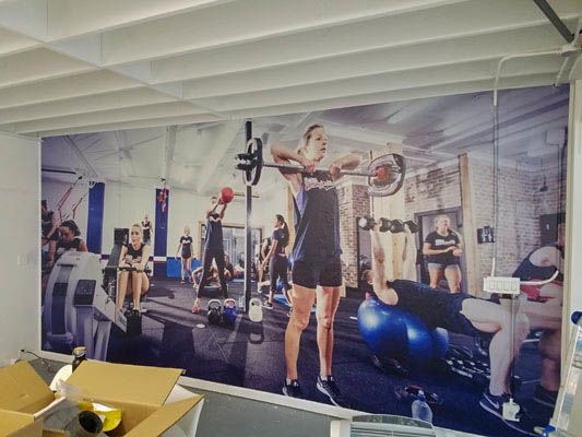 F45 wall mural digital graphic adhesive large installation wallpaper