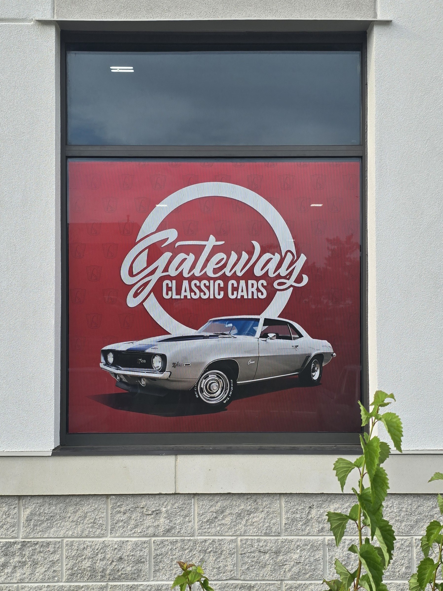 Window Graphics | Vinyl
