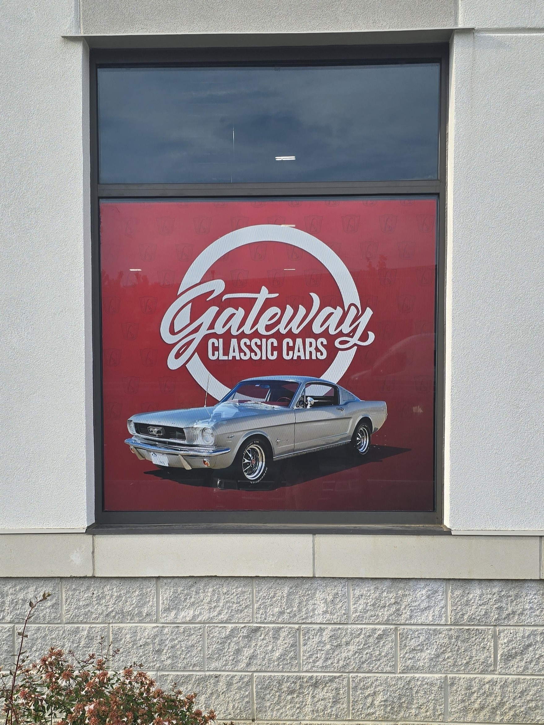 Window Graphics | Vinyl