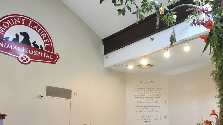 Graphics & Wall Murals in Marlton