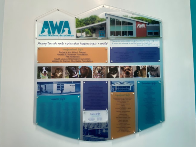 Custom Signs & Signage