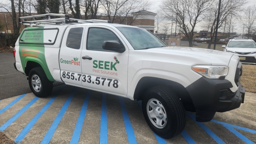 Vehicle Wraps
