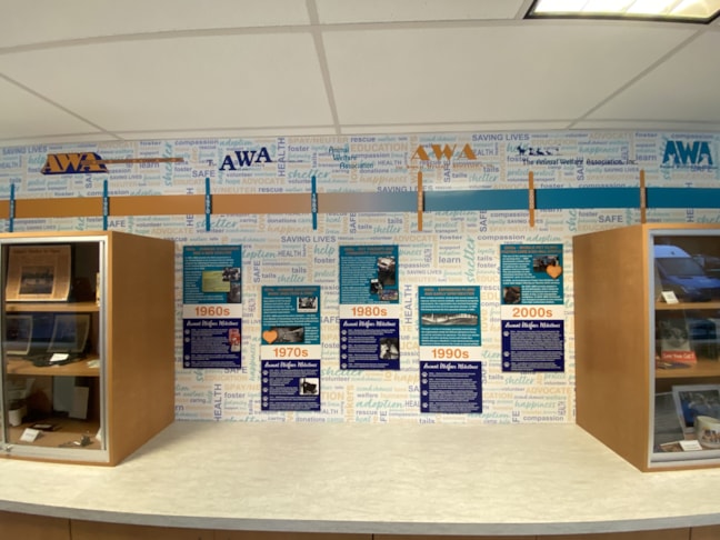 Graphics & Wall Murals