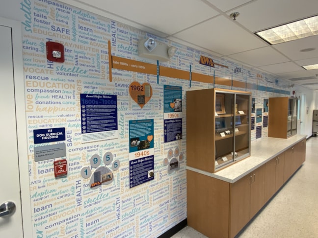 Graphics & Wall Murals