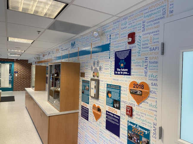 Graphics & Wall Murals