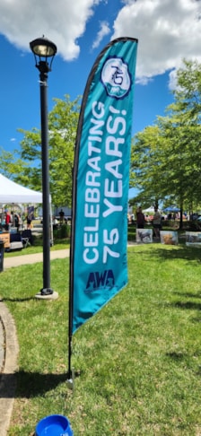 Feather Flags & Flutter Flags