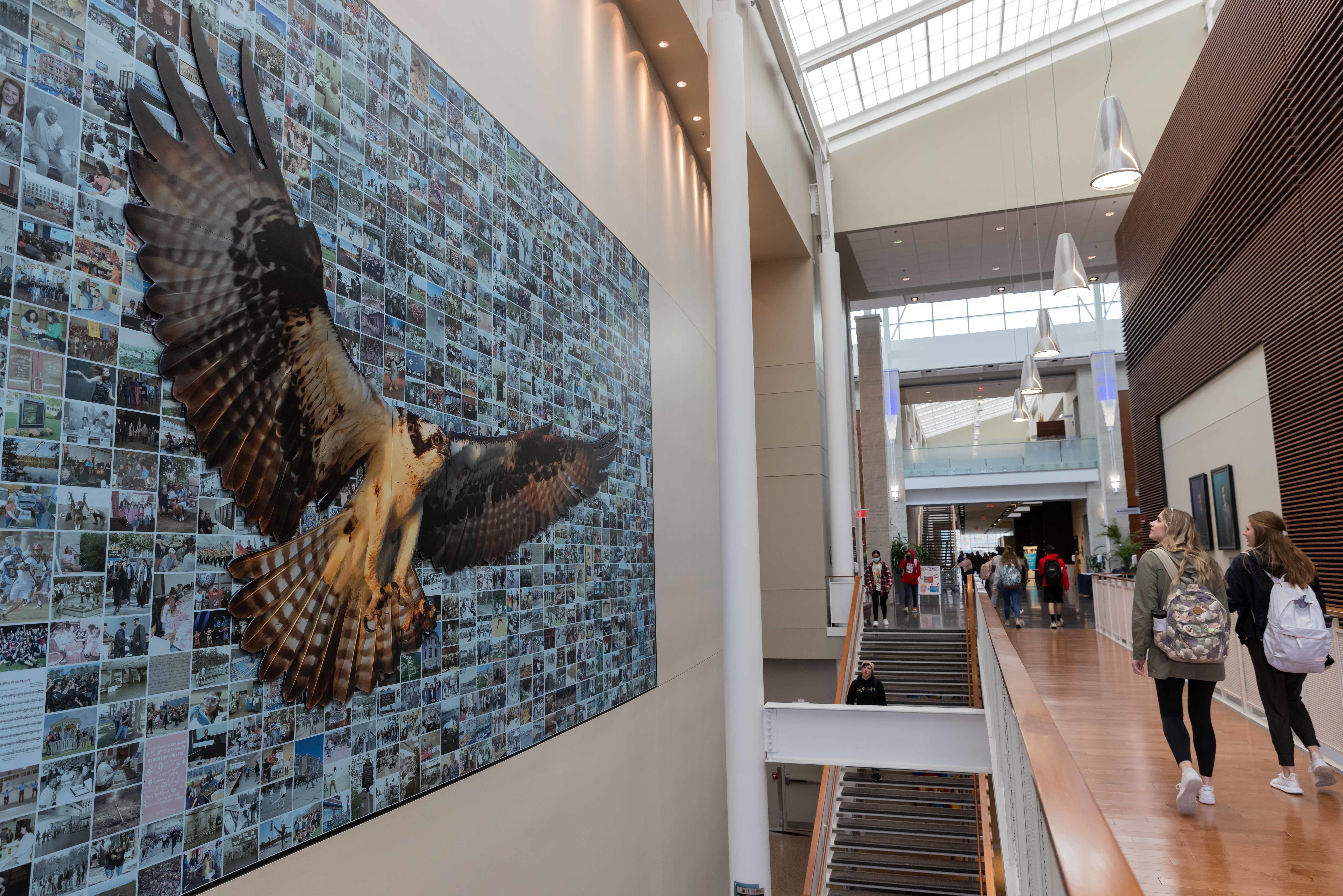 Wall Graphics & Murals