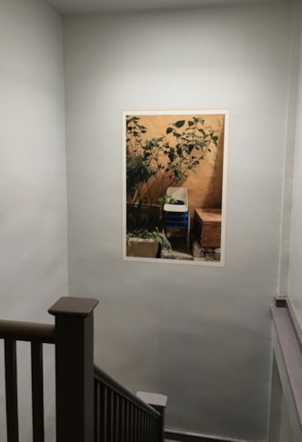 Wall Murals and Graphics in Philadelphia