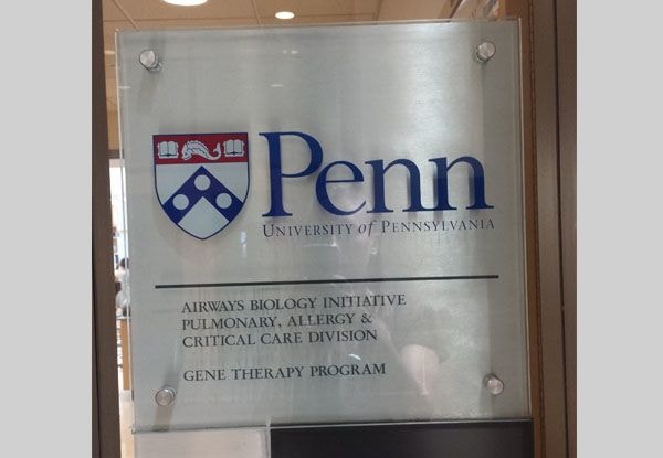 Acrylic Displays in [city]