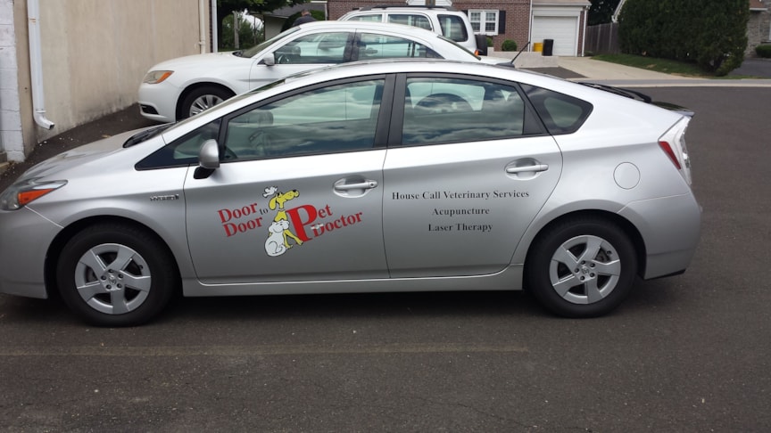 Vehicle Graphics & Lettering in [city]