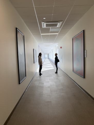 On site art consultation services