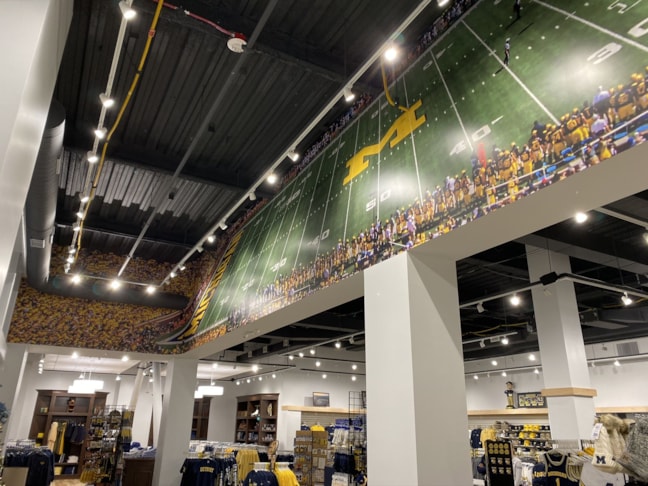 Wall Graphics, Murals, & Custom Wallpaper