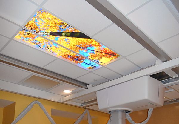  - Image360-Plymouth-MI-Celing-Graphics-Healthcare