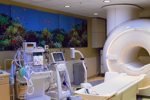  - Image360-Plymouth-WallMural&WallPaper-HealthCare