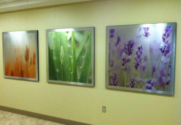  - Imgae360-PlymouthMI-WallMountFrames14