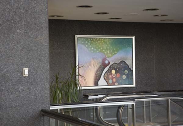  - Imgae360-PlymouthMI-WallMountFrames15