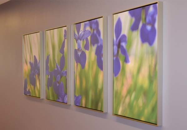  - Imgae360-PlymouthMI-WallMountFrames4