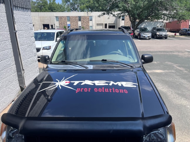 Vehicle Graphics & Lettering