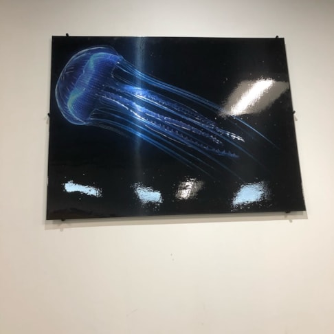 Custom Acrylic & Plastic Displays