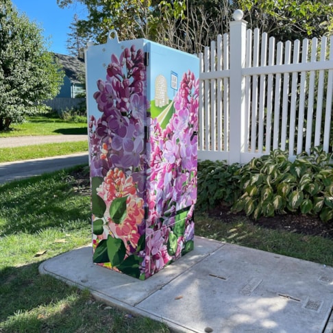 Custom Decals, Wraps & Lettering