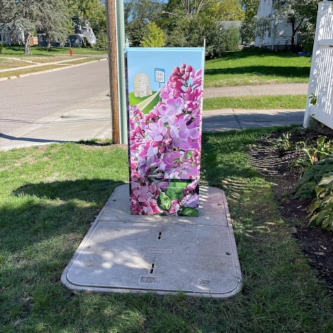 Custom Decals, Wraps & Lettering