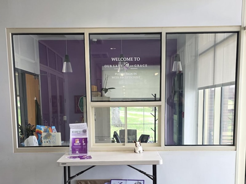 Window Graphics | Vinyl