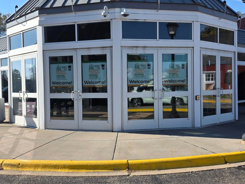 Window Graphics | Vinyl