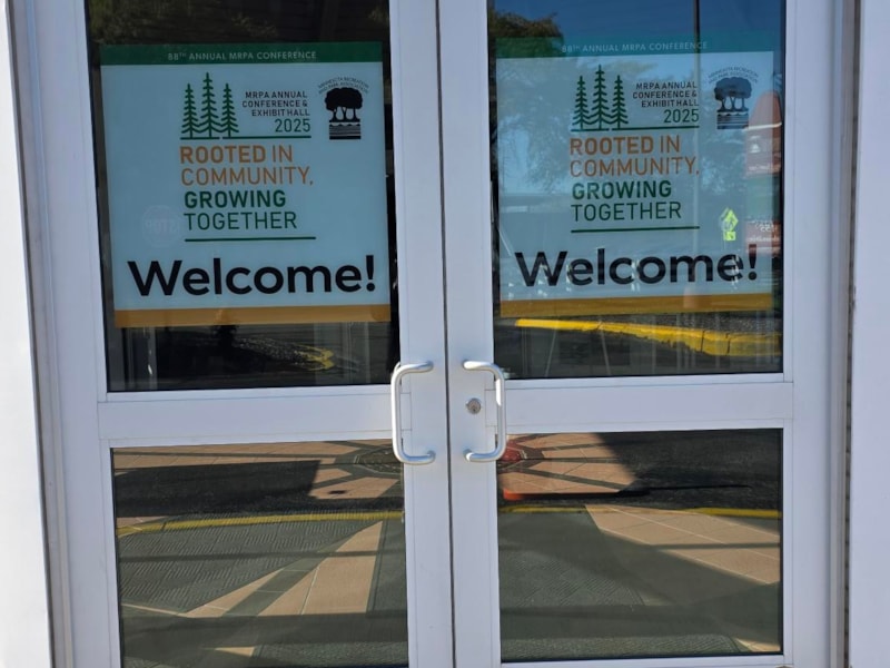 Window Graphics | Vinyl