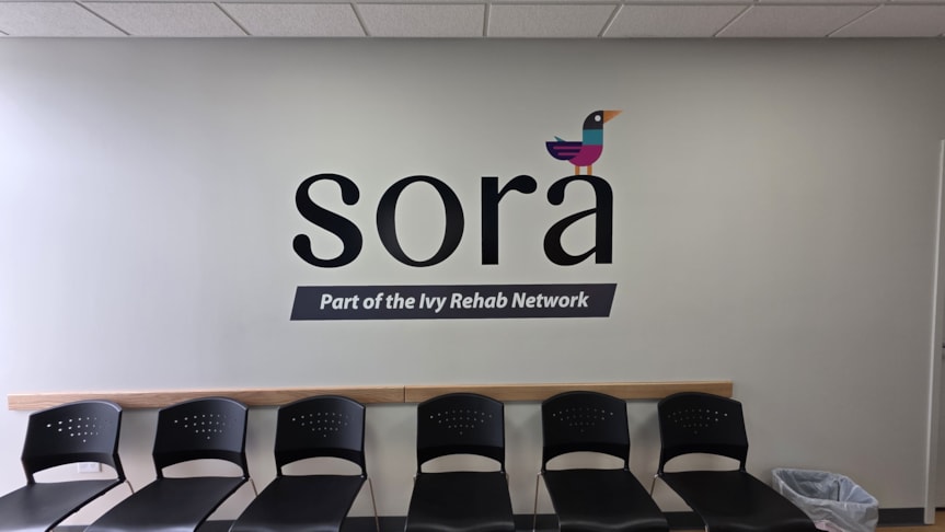 Wall Murals & Graphics