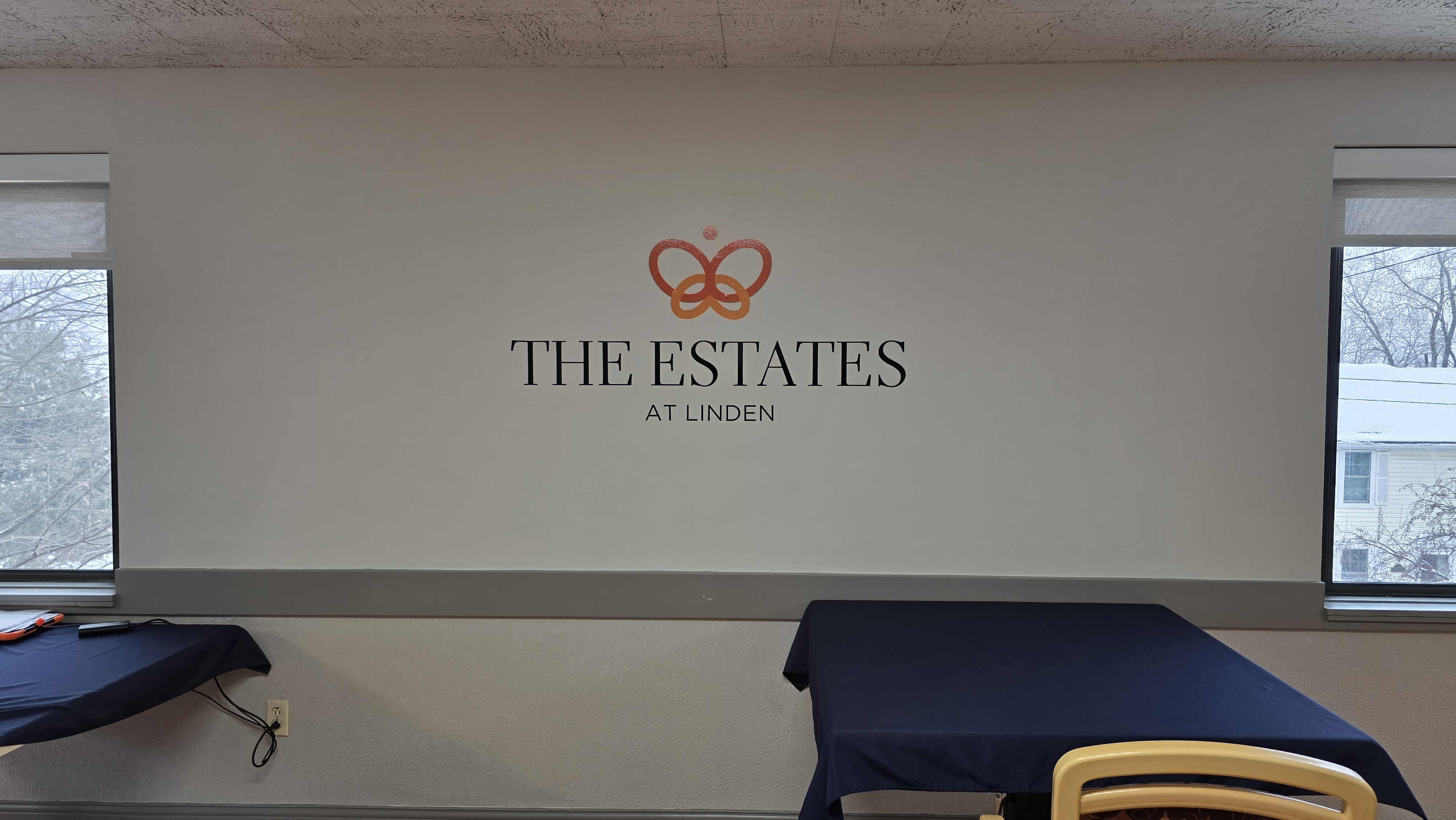 Wall Murals & Graphics