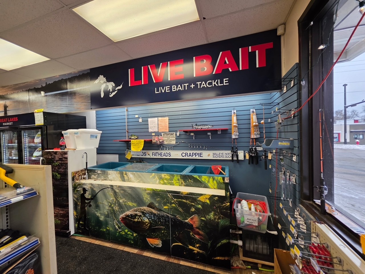 Wall Murals & Graphics