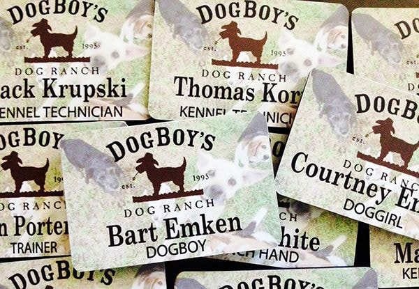  - Image360-Round-Rock-TX-Stationery-Dog-Boys