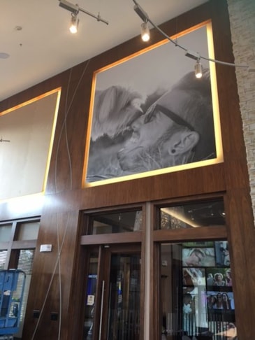 Wall Murals & Graphics