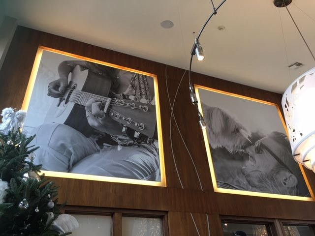 Wall Murals & Graphics