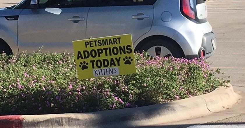 Yard Signs in [city]