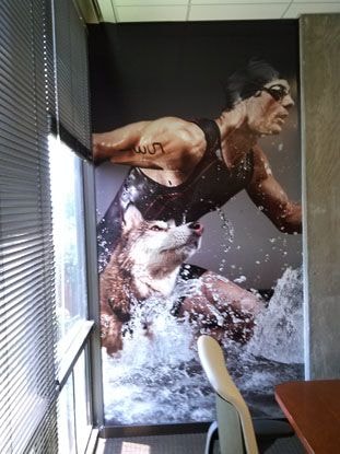 Wall Murals & Graphics