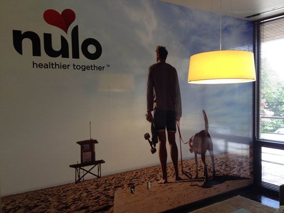 Wall Murals & Graphics