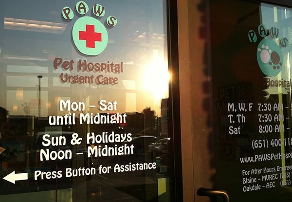  - Custom-Graphics-Window-Graphics-Vet-Image360-St.Paul-MN