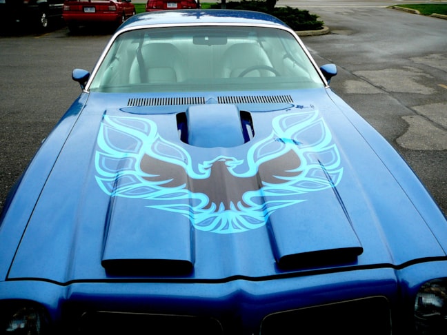 Vehicle Graphics & Lettering in [city]