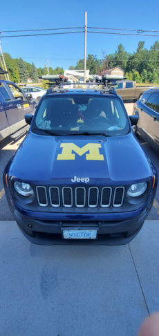 Vehicle Graphics & Lettering