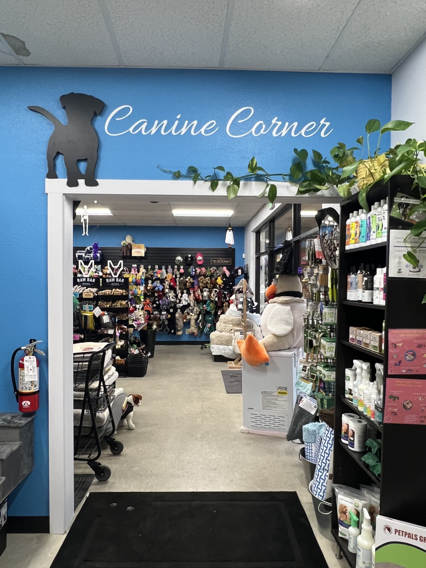 3D Signs & Dimensional Letters | Retail | Hazel Dell, WA | Foam / HDU