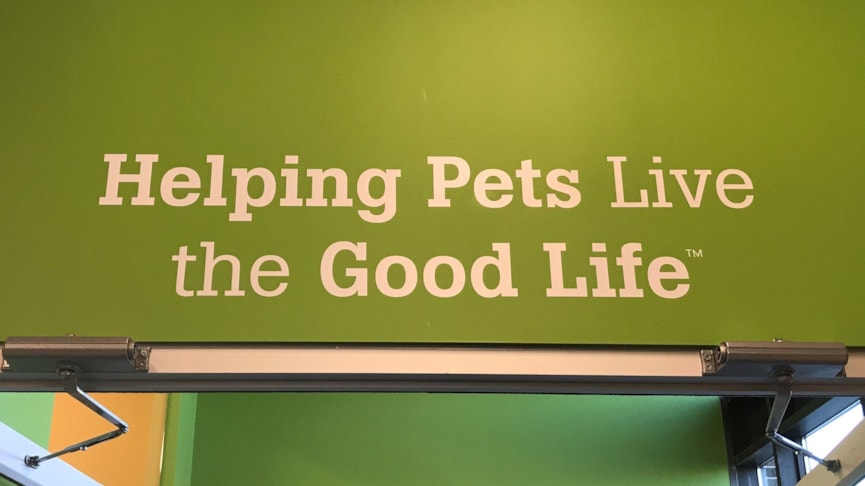 Wall Murals and Graphics