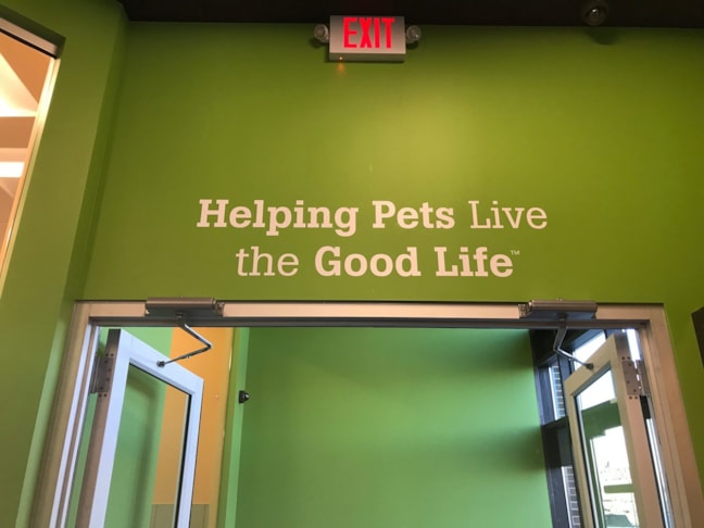 woodbury Lettering on wall
