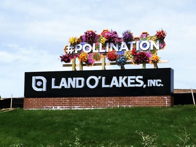 Custom Signs & Signage