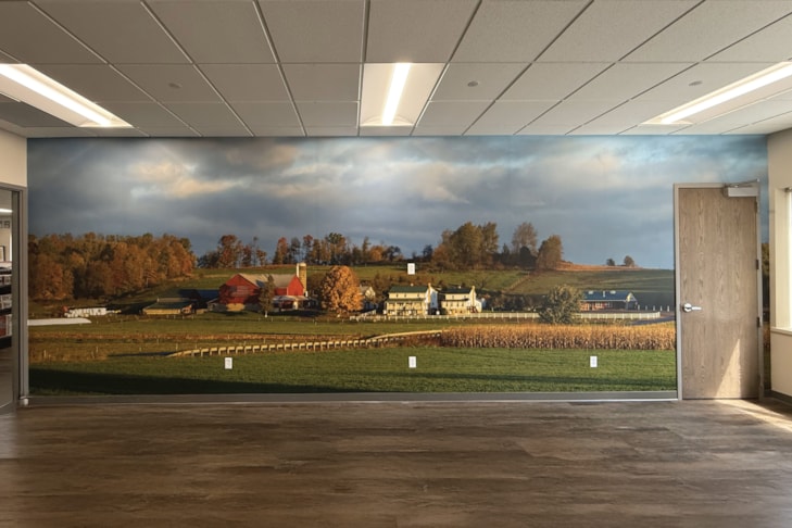 Wall Murals & Graphics