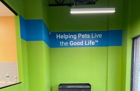 Wall Murals & Graphics | Retail